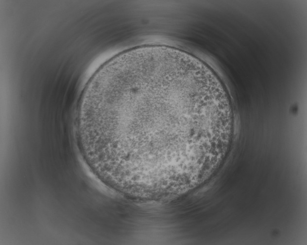 X0000115741048200912241643