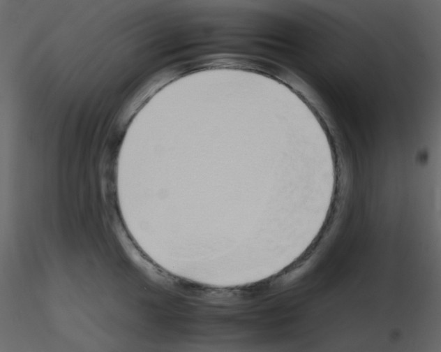 X0000115741049200912241643