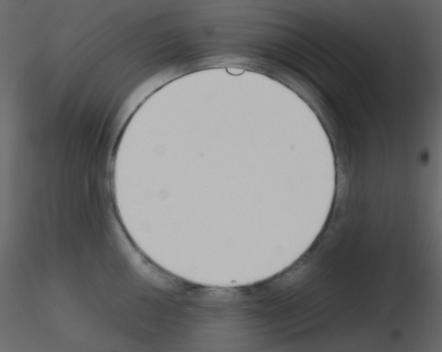 X0000115741050200912241643