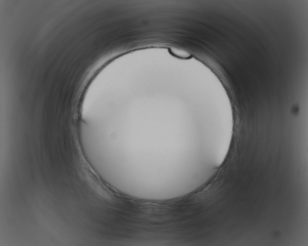 X0000115741051200912241643