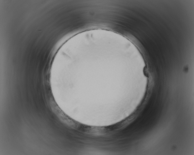 X0000115741052200912241643