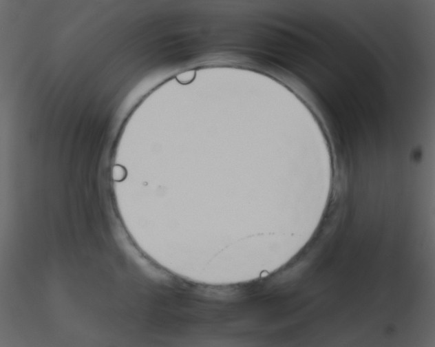 X0000115741053200912241643