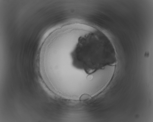 X0000115741056200912241643