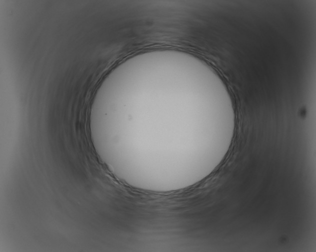 X0000115741057200912241642