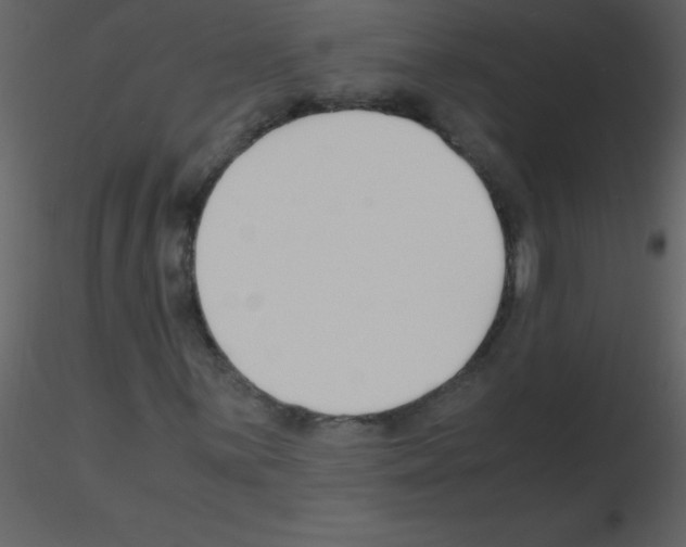 X0000115741059200912241642