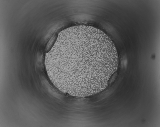 X0000115741060200912241642