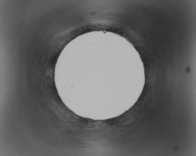 X0000115741061200912241642