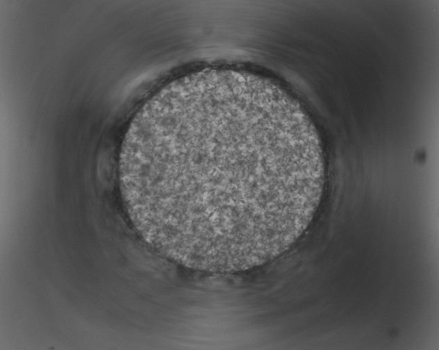 X0000115741063200912241642