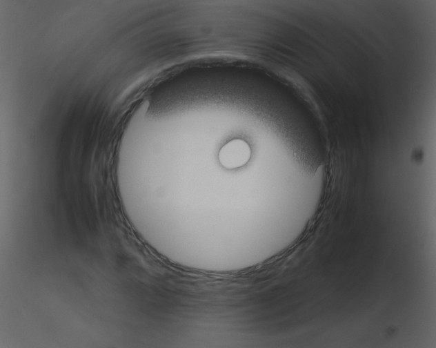 X0000115741064200912241642