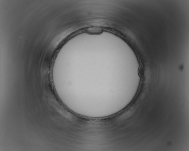 X0000115741065200912241642