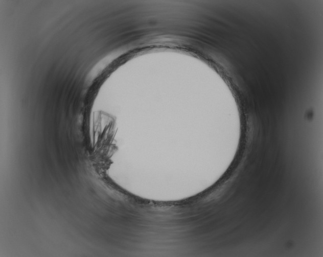 X0000115741066200912241642