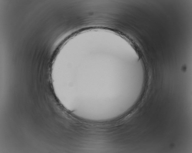 X0000115741069200912241642