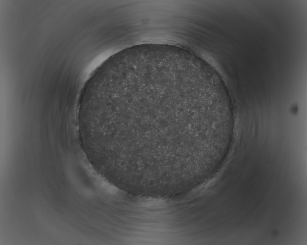 X0000115741071200912241642