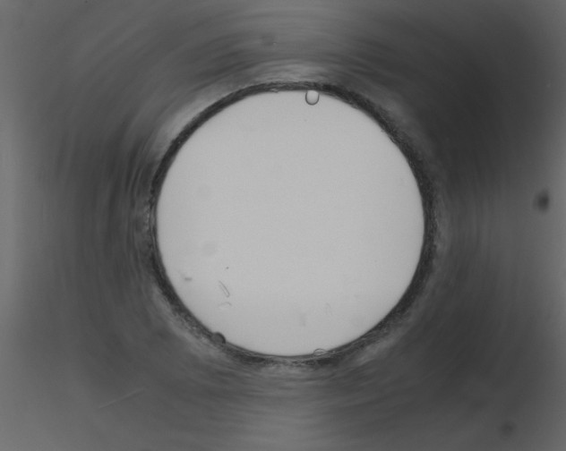 X0000115741073200912241642