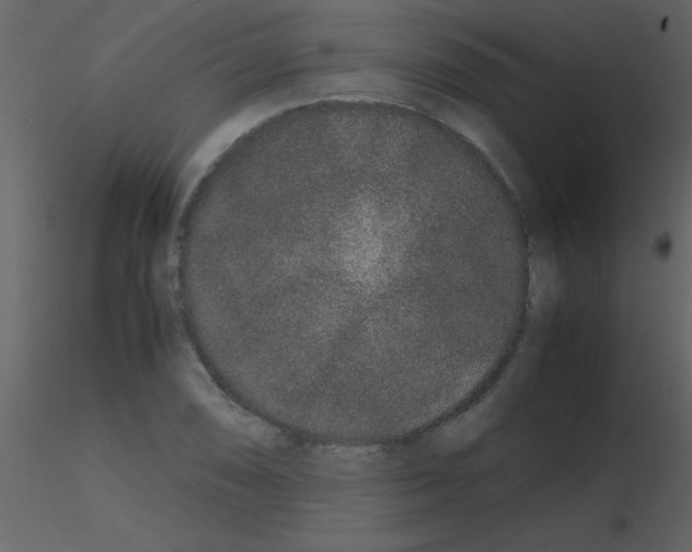 X0000115741074200912241642