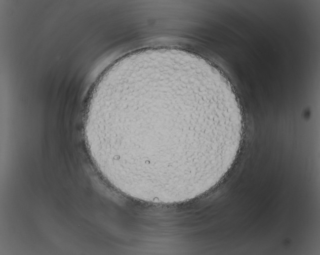 X0000115741075200912241642