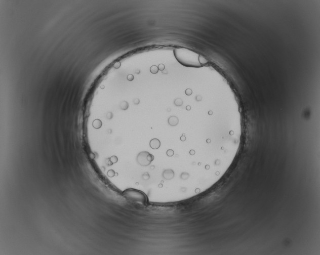 X0000115741076200912241642