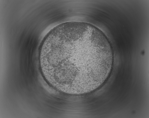 X0000115741078200912241642