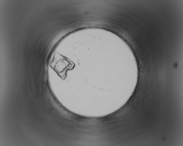 X0000115741079200912241642