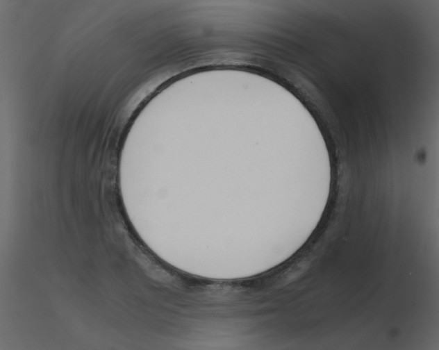 X0000115741081200912241642