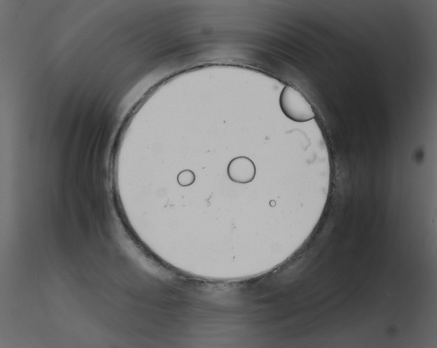 X0000115741082200912241642