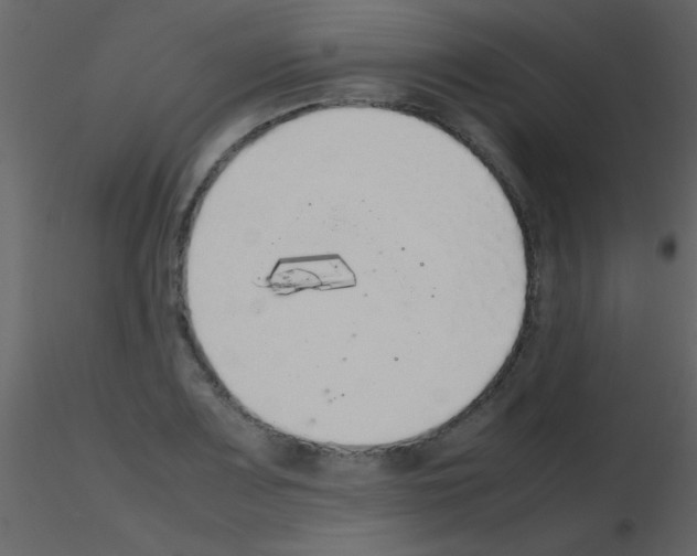 X0000115741083200912241642