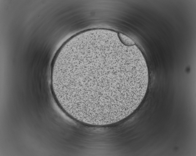 X0000115741084200912241642