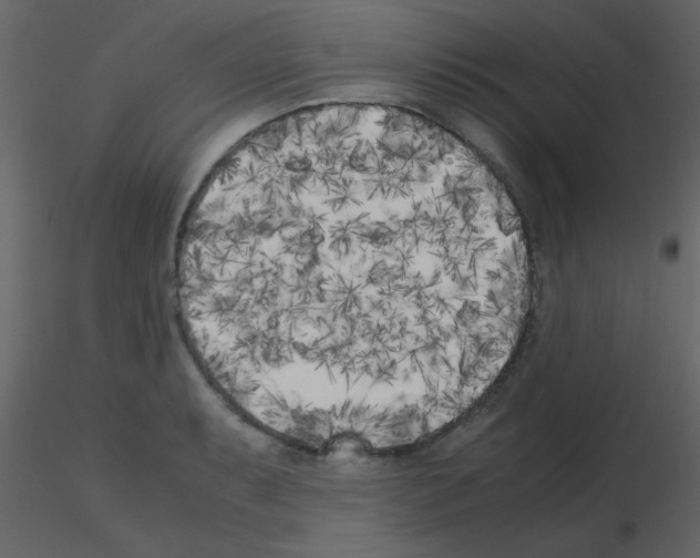 X0000115741087200912241642