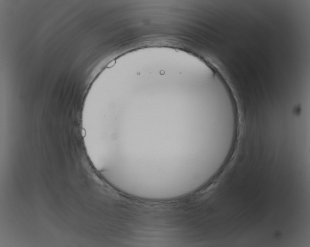 X0000115741089200912241642