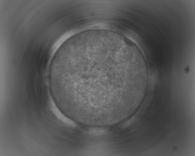 X0000115741090200912241642