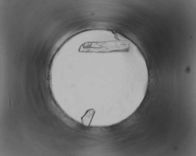 X0000115741091200912241642