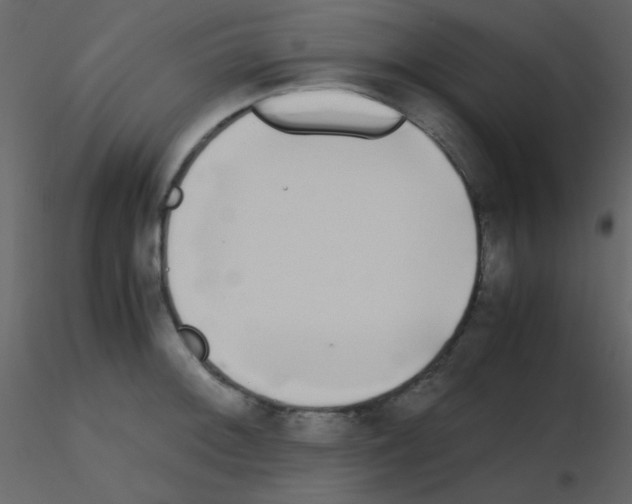 X0000115741092200912241642