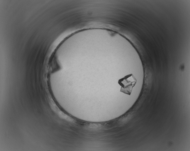 X0000115741094200912241642