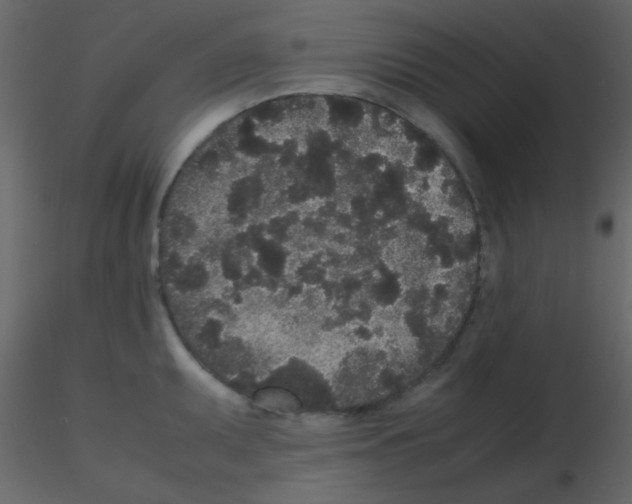 X0000115741095200912241642