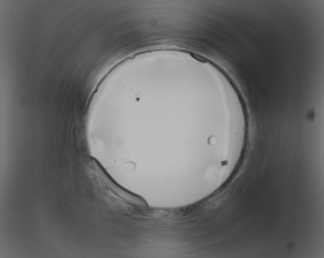 X0000115741097200912241642