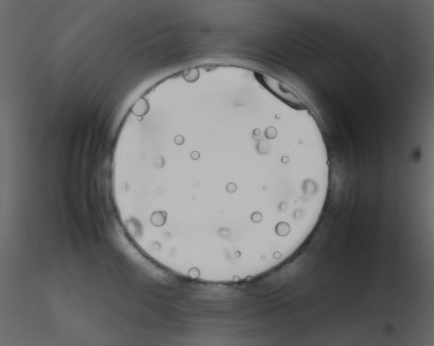 X0000115741100200912241642