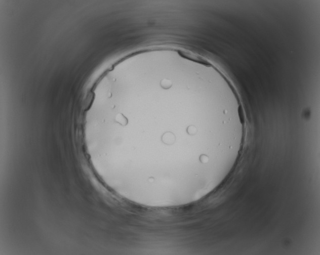 X0000115741101200912241642