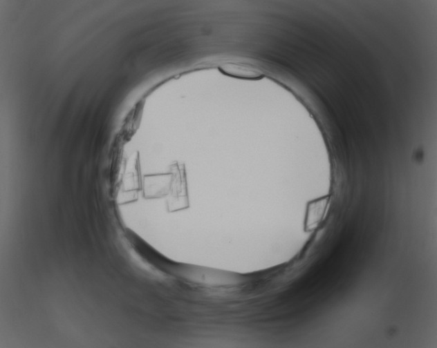 X0000115741102200912241642