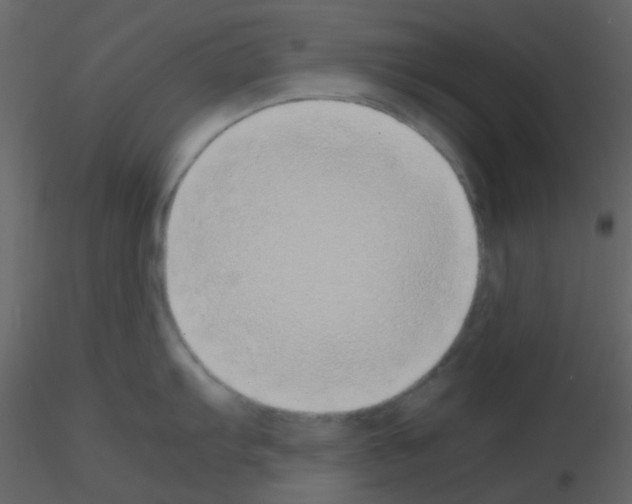 X0000115741103200912241642