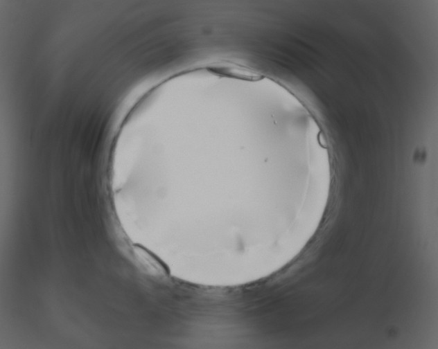 X0000115741104200912241642