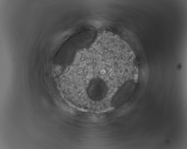 X0000115741105200912241641