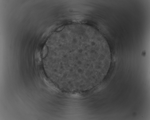 X0000115741106200912241641