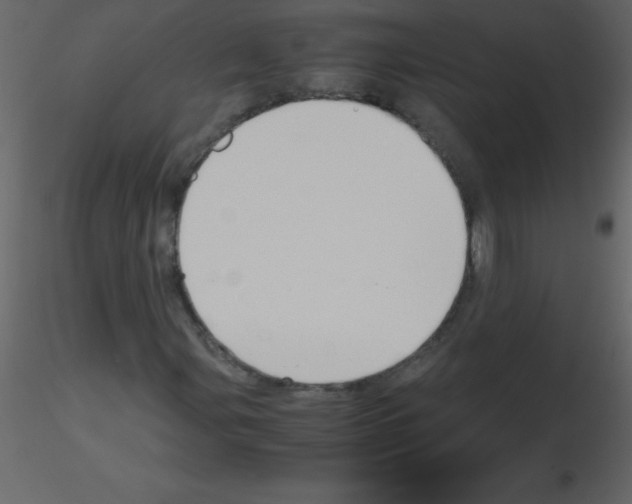 X0000115741107200912241641