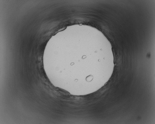 X0000115741109200912241641