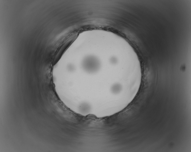 X0000115741110200912241641