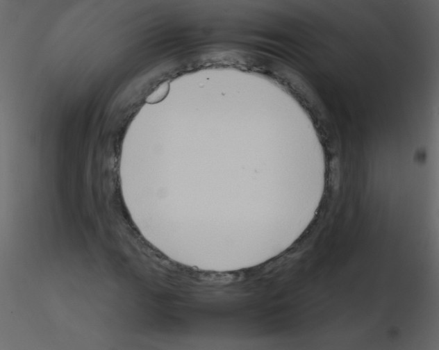 X0000115741111200912241641