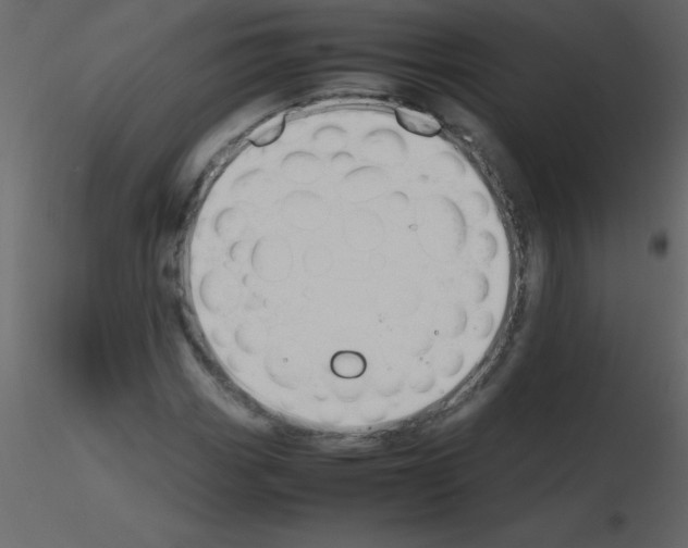 X0000115741113200912241641