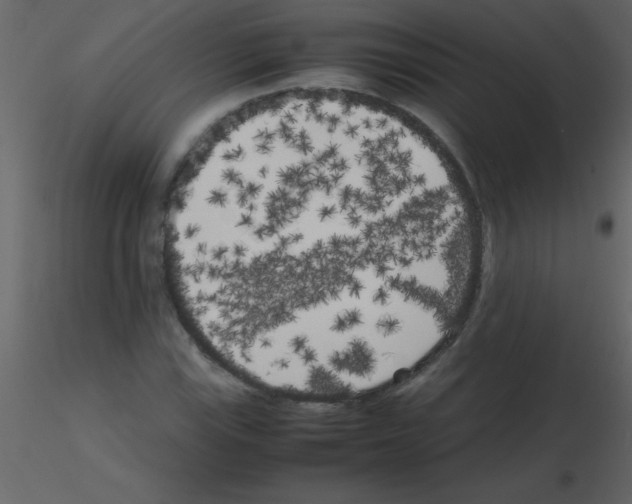 X0000115741115200912241641