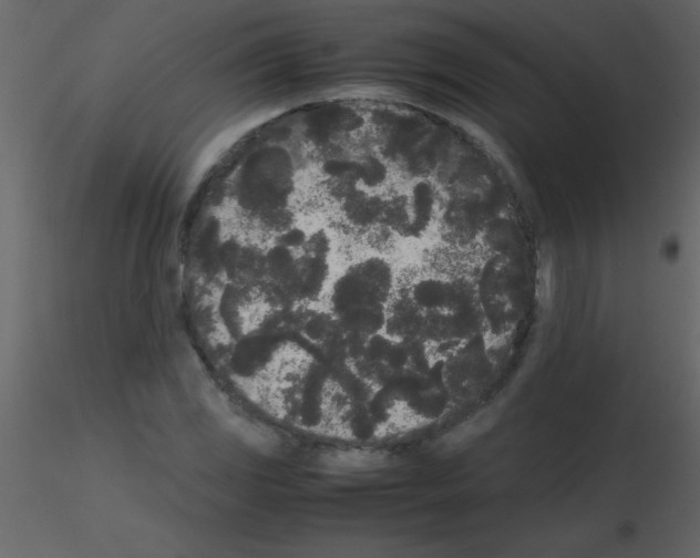 X0000115741117200912241641