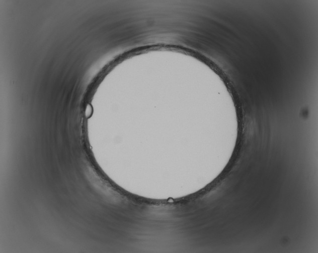 X0000115741118200912241641